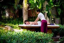 Wellness & Retreat
