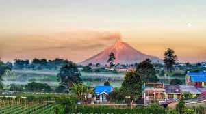 Sumatra Wildlife & Nature Expedition