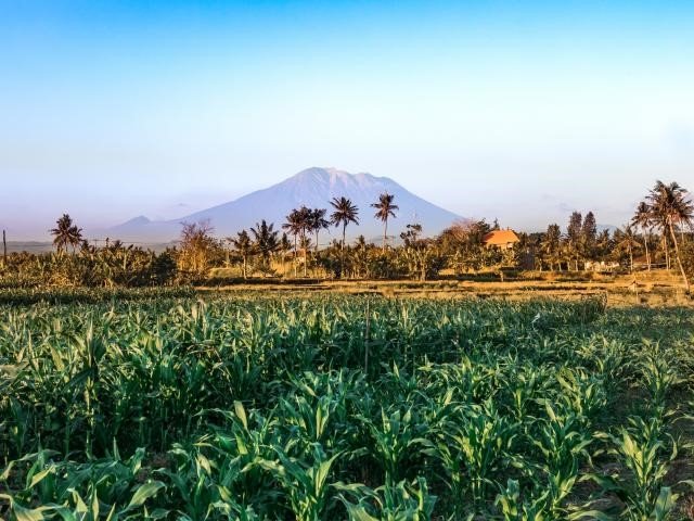 Bali Cultural & Beach Escape