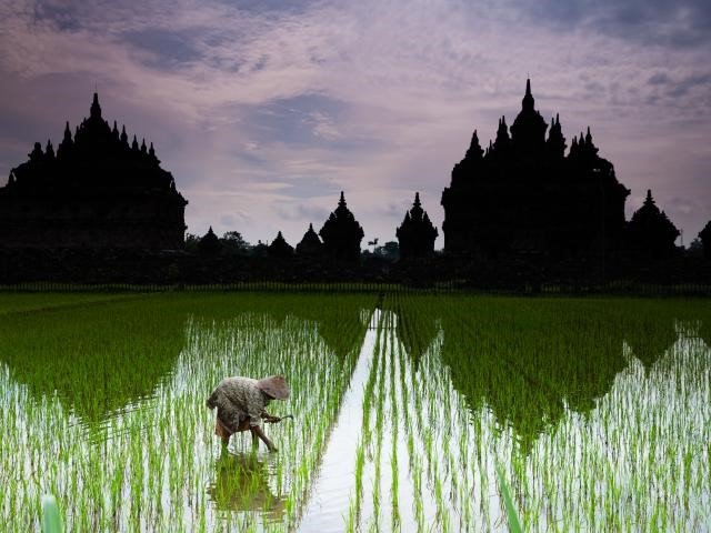 Treasures of Bali