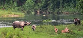 8 Days 7 Nights Kathmandu, Pokhara, and Chitwan Tour